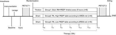 Mechanical power is associated with cardiac output and pulmonary blood flow in an experimental acute respiratory distress syndrome in pigs